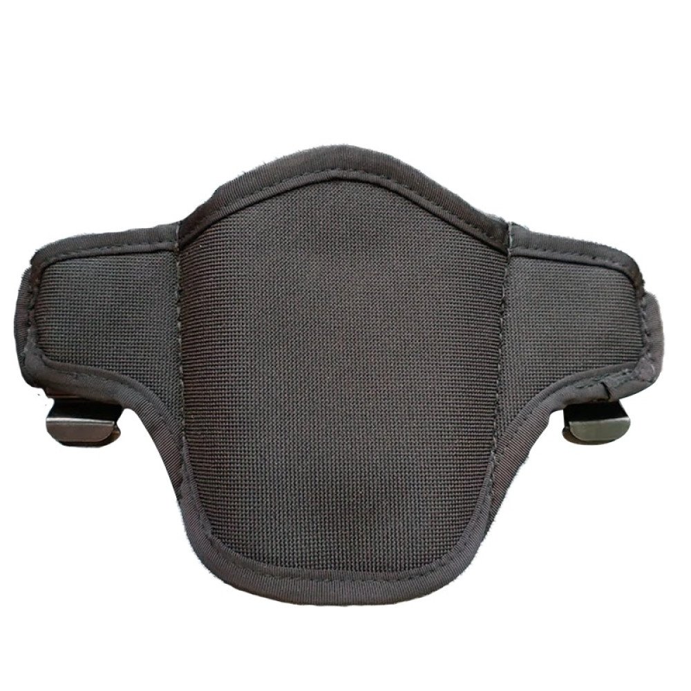 HD Holster