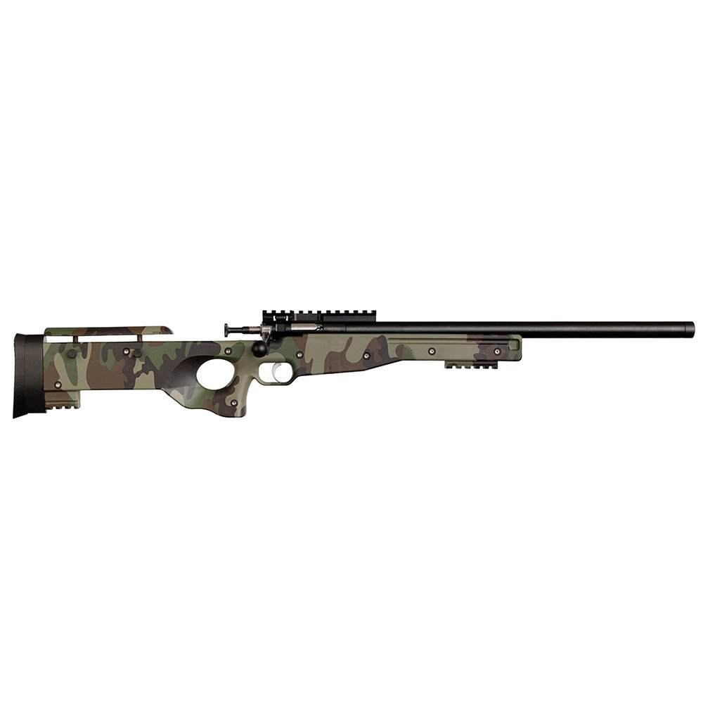 Crickett Precision Rifle