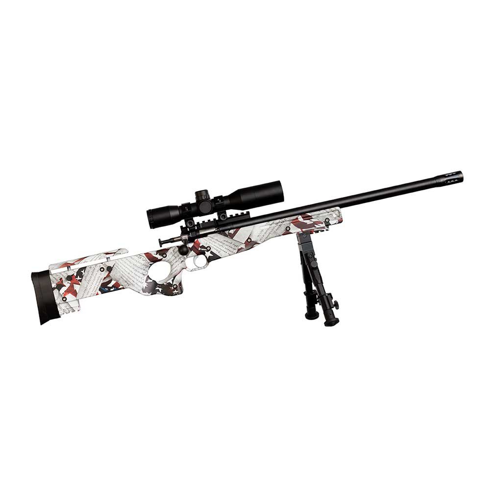 Crickett Precision Rifle