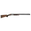 Pointer Acrius
