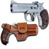 PT2A-Protect the 2nd Amendment