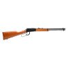 Rossi Rio Bravo