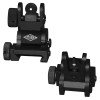Flip Up Sights
